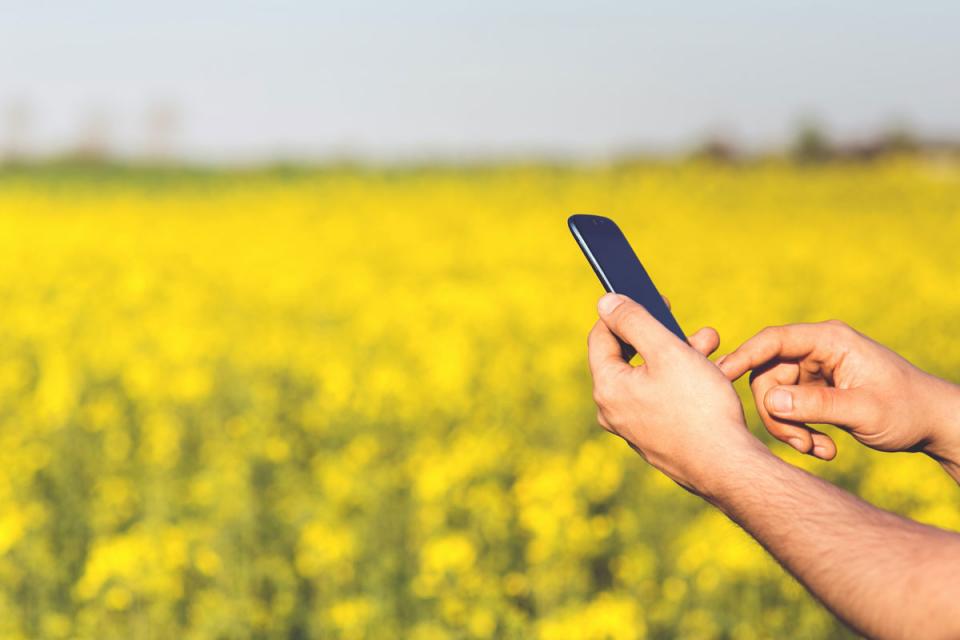 Using a phone in a field