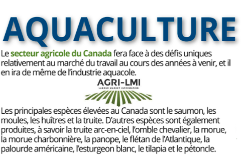 Infographie aquaculture
