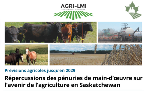 Répercussions des pénuries de main-d’oeuvre sur l’avenir de l’agriculture en Saskatchewan